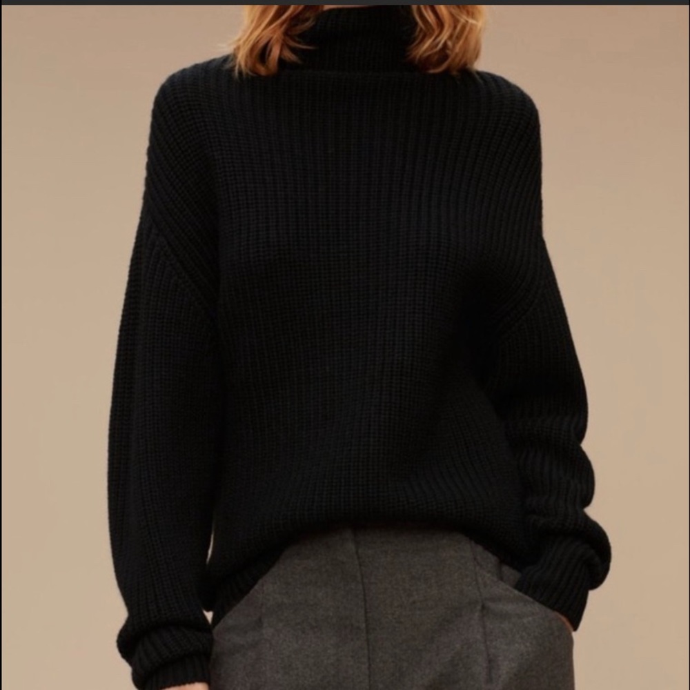 AritZia Montpelier sweater